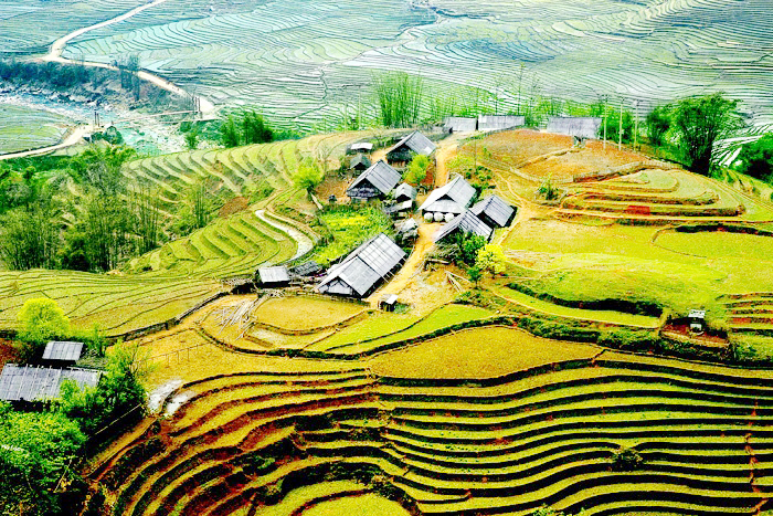 Phim tài liệu- Trở về