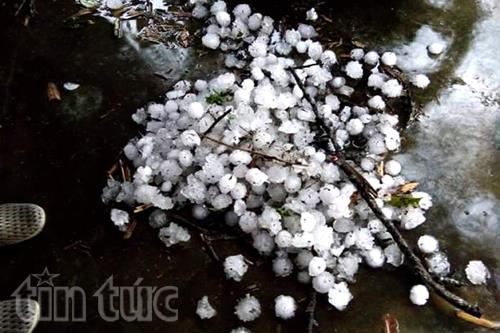 Mưa đá to kỷ lục tàn phá Tuyên Quang