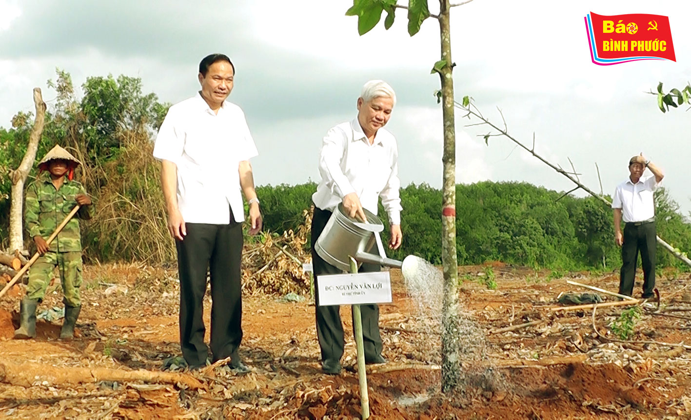 [Video] Lãnh đạo tỉnh phát động trồng cây nhớ ơn Bác Hồ