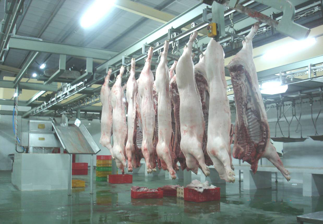 Tăng cường kiểm dịch, kiểm soát giết mổ gia súc, gia cầm