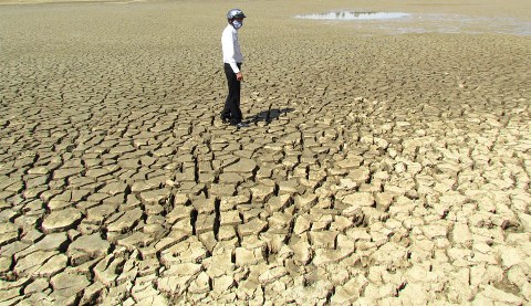 Xây dựng kế hoạch, chiến lược ứng phó với hạn hán và xâm nhập mặn