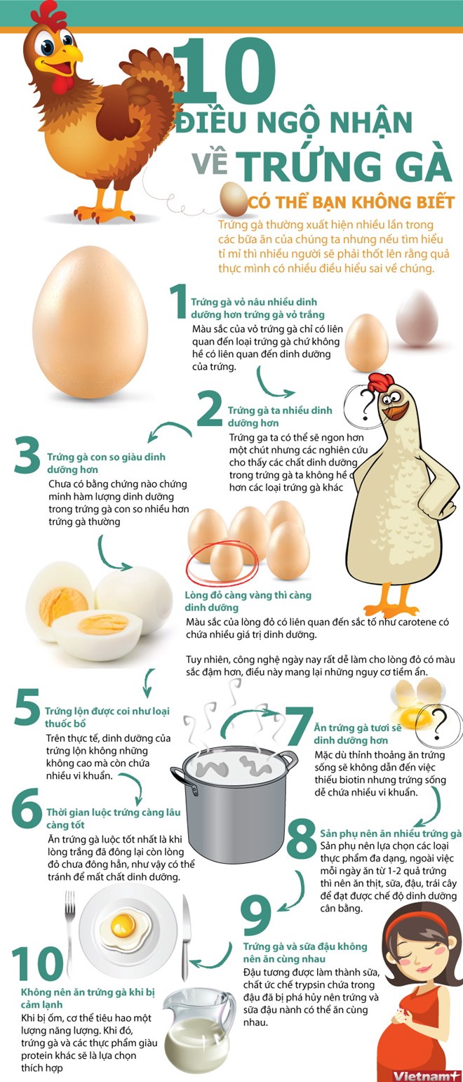 10 điều ngộ nhận về trứng gà của người nội trợ