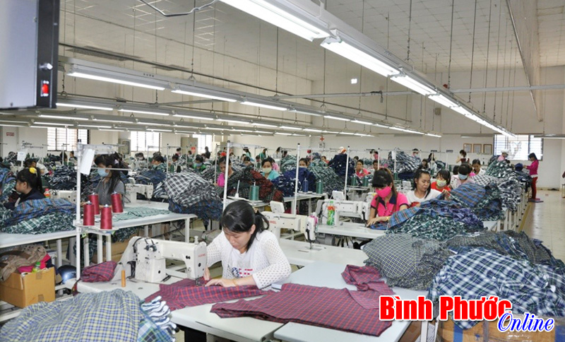 Cương quyết xử lý doanh nghiệp chây ỳ, chậm đóng bảo hiểm xã hội, bảo hiểm y tế