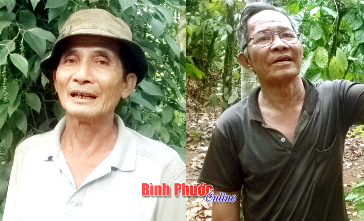 Hội làm vườn NCT xã Tân Hưng - nơi gắn kết nhà nông