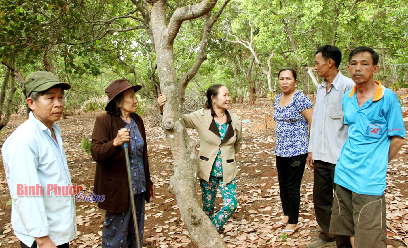 V&igrave; sao Chủ tịch UBND x&atilde; Đường 10 bị tố c&aacute;o?