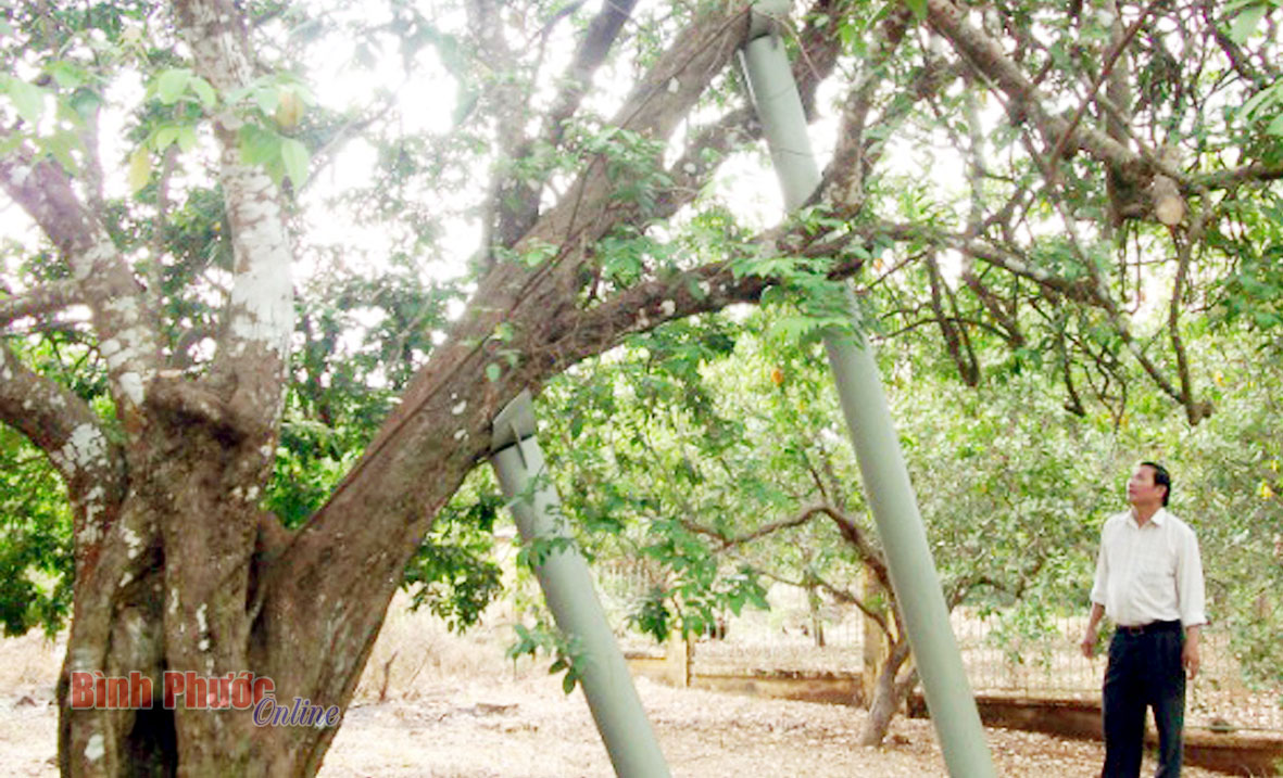 Khôi phục di tích nhà tù Bà Rá - Hành trình dài và khó