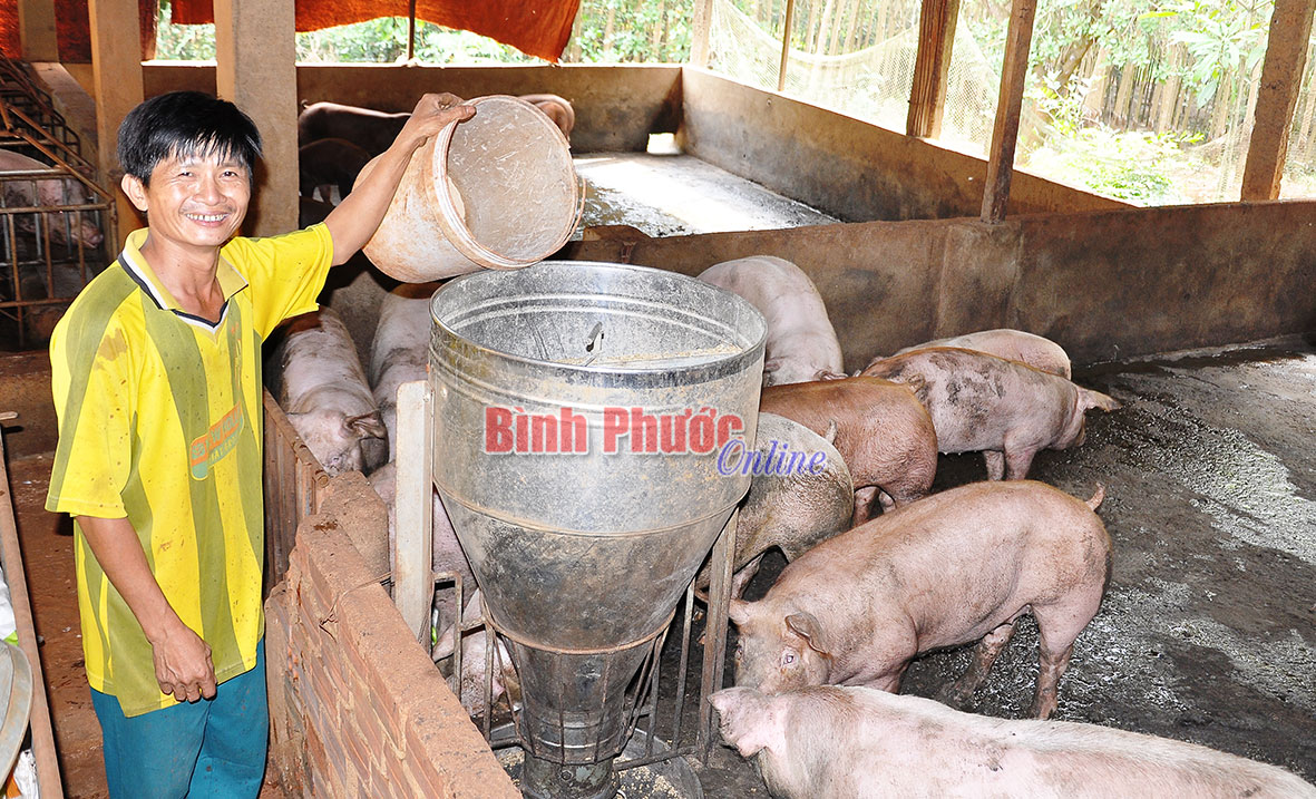 Tỷ phú “vác tù và hàng tổng” ở Bình Sơn