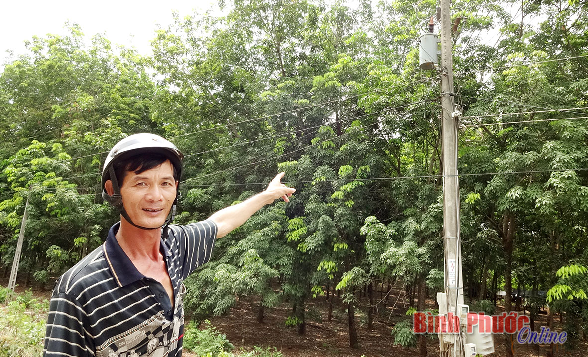 Người dân xã nghèo khổ vì điện