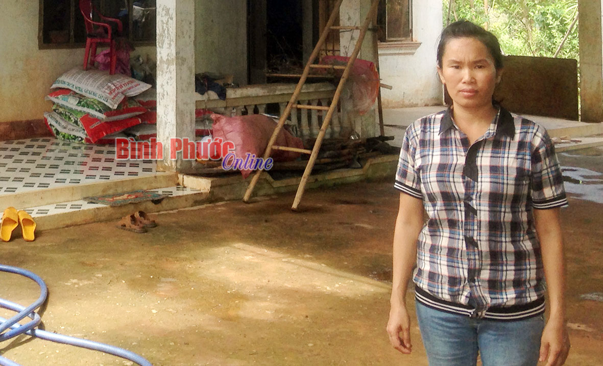 Lỗi… hay năng lực của tòa sơ thẩm có vấn đề?