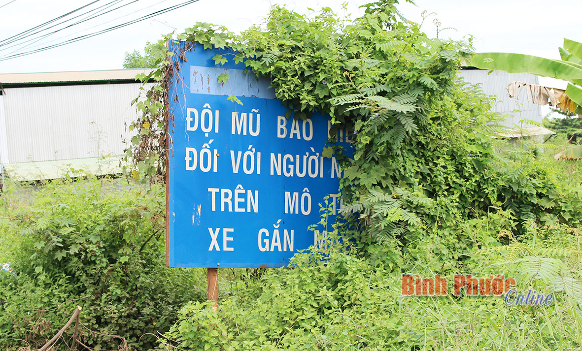 Cỏ dại “tấn công” pa-nô tuyên truyền