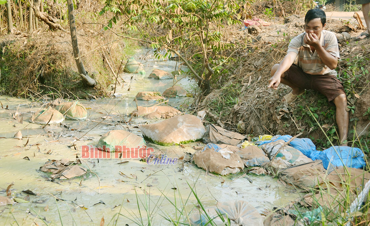 UBND huyện Chơn Th&agrave;nh phản hồi th&ocirc;ng tin tr&ecirc;n B&aacute;o B&igrave;nh Phước