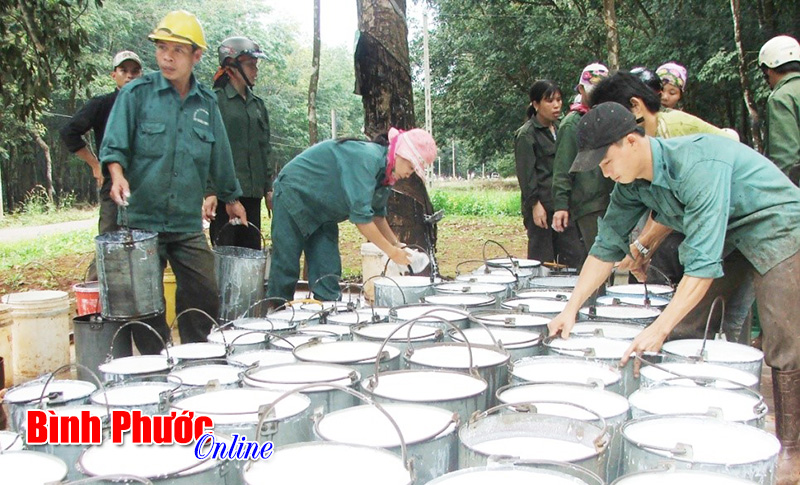 Cải thiện môi trường kinh doanh, nâng cao năng lực cạnh tranh cấp tỉnh