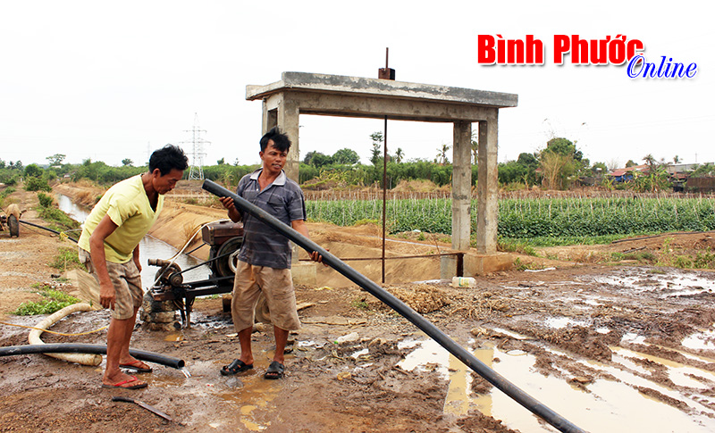 Bù Đốp nỗ lực chống hạn