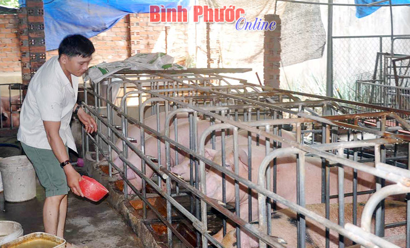 Minh Th&agrave;nh giữ vững v&agrave; n&acirc;ng cao chất lượng ti&ecirc;u ch&iacute; NTM