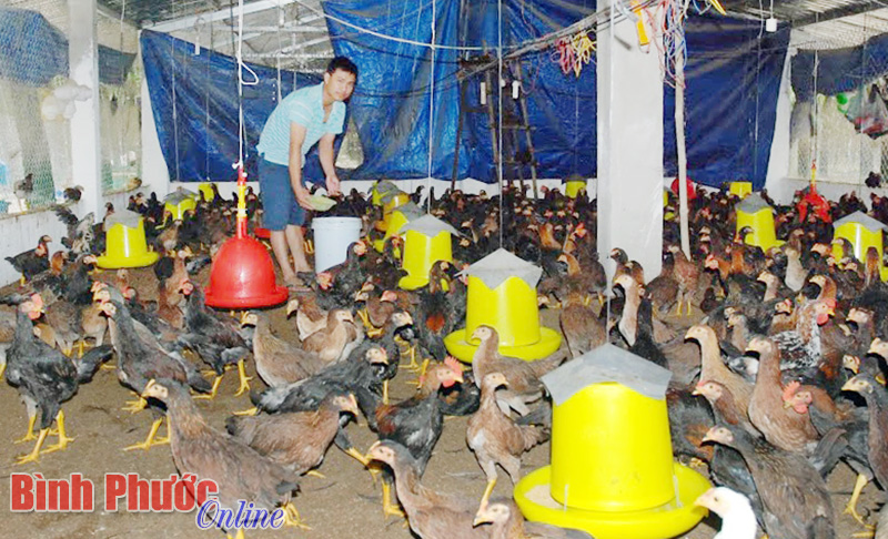 Th&agrave;nh phần v&agrave; nhiệm vụ của Hội đồng th&uacute; y cấp tỉnh