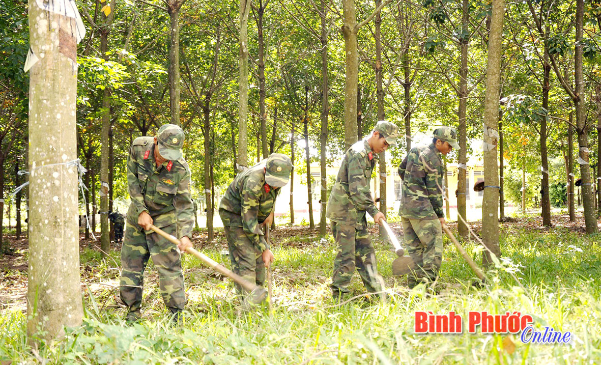 Ki&ecirc;n quyết xử l&yacute; những trường hợp vi phạm về ph&ograve;ng ch&aacute;y, chữa ch&aacute;y