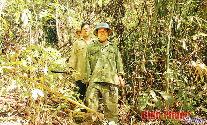 Có mưa nhưng không lơ là trong phòng cháy, chữa cháy rừng