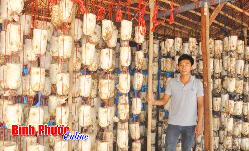 Đi tìm thực phẩm sạch