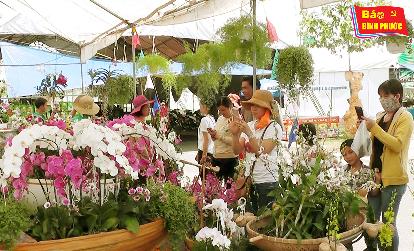 [Video] Hội chợ trái cây và hàng nông sản Bình Phước lần thứ 2: Mặt hàng đa dạng nhưng ít khách hàng