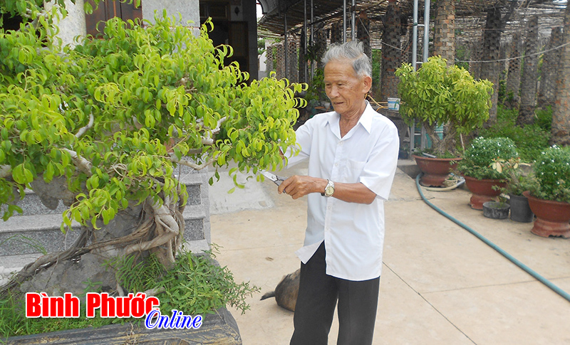 Gặp gỡ chiến sĩ Điện Biên năm xưa