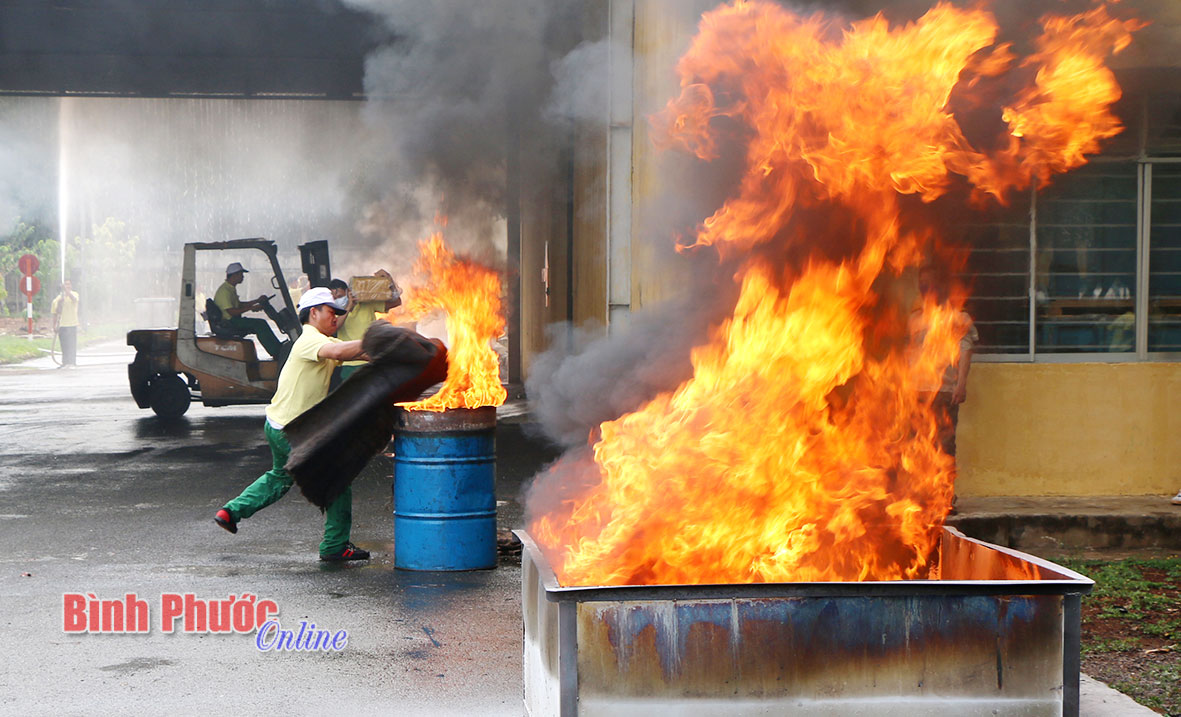 290 lượt cán bộ, công nhân viên cao su Phú Riềng hoàn thành khóa tập huấn nghiệp vụ bảo vệ
