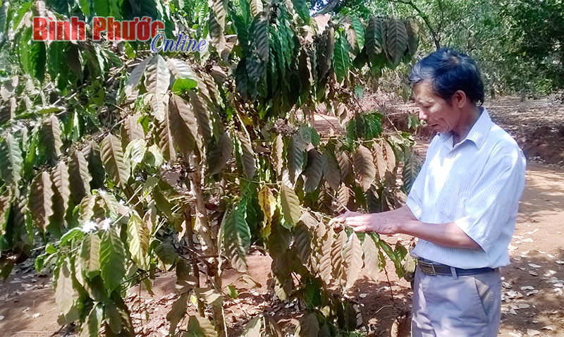 Làm gì để chống chọi khô hạn? - Bài 1