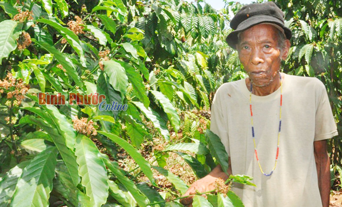 Đồng bào DTTS ở Đắk Nhau chống chọi hạn hán