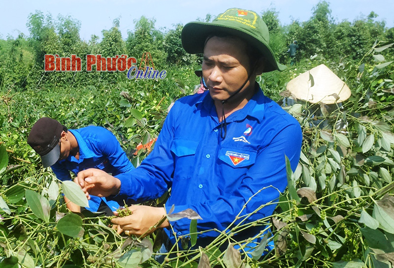 Ứng cử vi&ecirc;n đại biểu Quốc hội v&agrave; HĐND huyện Hồ B&aacute; To&agrave;n: &ldquo;T&ocirc;i trăn trở về việc l&agrave;m của thanh ni&ecirc;n&rdquo;