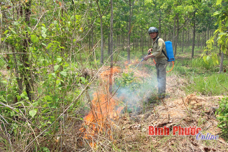 Tiếp tục đẩy mạnh tuy&ecirc;n truyền ph&ograve;ng ch&aacute;y chữa ch&aacute;y v&agrave; cứu nạn cứu hộ