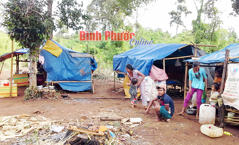 Toàn tỉnh có 13.971 hộ nghèo theo chuẩn tiếp cận đa chiều