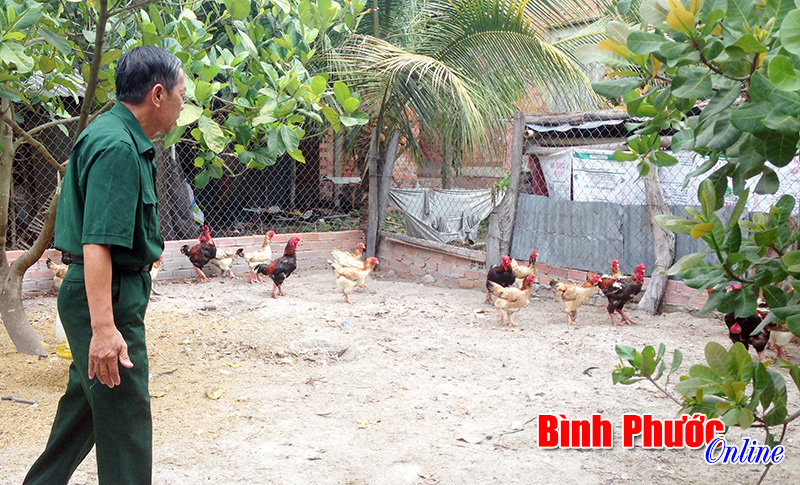 Hướng làm giàu cho những người ít đất