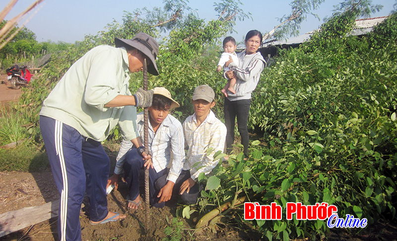 Lốc xoáy ở Lộc Ninh, Bù Đốp: Nhiều gia đình lâm cảnh thiên tai dồn dập