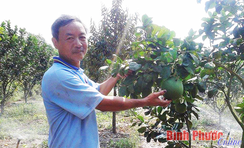 Nhà nông Nguyễn Văn Tám dám nghĩ, dám làm