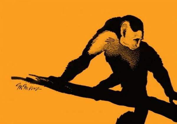 Phát hiện hóa thạch loài khỉ tại Bắc Mỹ cách đây 21 triệu năm