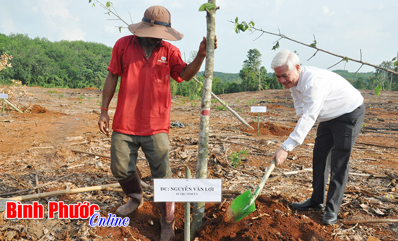 Ph&aacute;t động trồng c&acirc;y nhớ ơn B&aacute;c Hồ