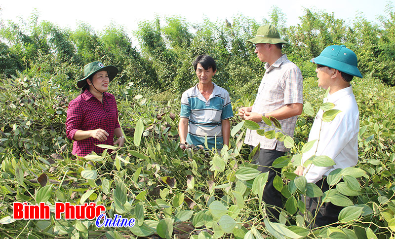 Ph&oacute; b&iacute; thư thường trực Tỉnh ủy Trần Tuệ Hiền khảo s&aacute;t thiệt hại do lốc xo&aacute;y tại Lộc Ninh v&agrave; B&ugrave; Đốp