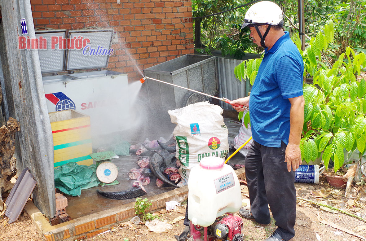 Đồng Xoài: Phát hiện, tiêu hủy 167kg sừng trâu và mỡ heo bẩn