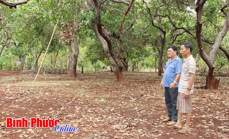 Tranh chấp lối đi ở khu phố B&igrave;nh Giang I: Bao giờ được giải quyết dứt điểm?