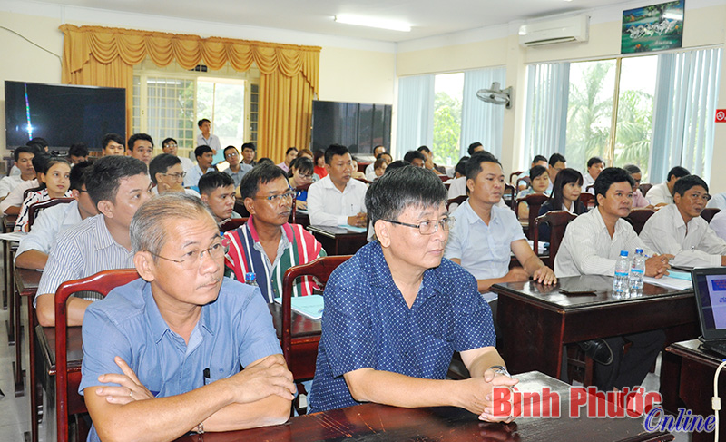 Trước 31-12-2018, B&igrave;nh Phước phải &aacute;p dụng truyền h&igrave;nh số mặt đất