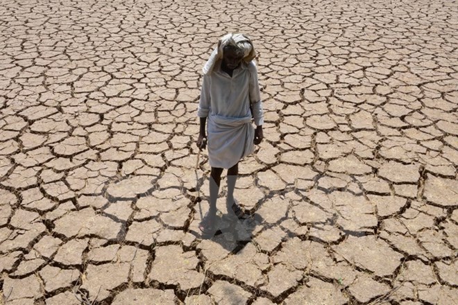 Nồng độ CO2 trong không khí tăng lên mức cao kỷ lục