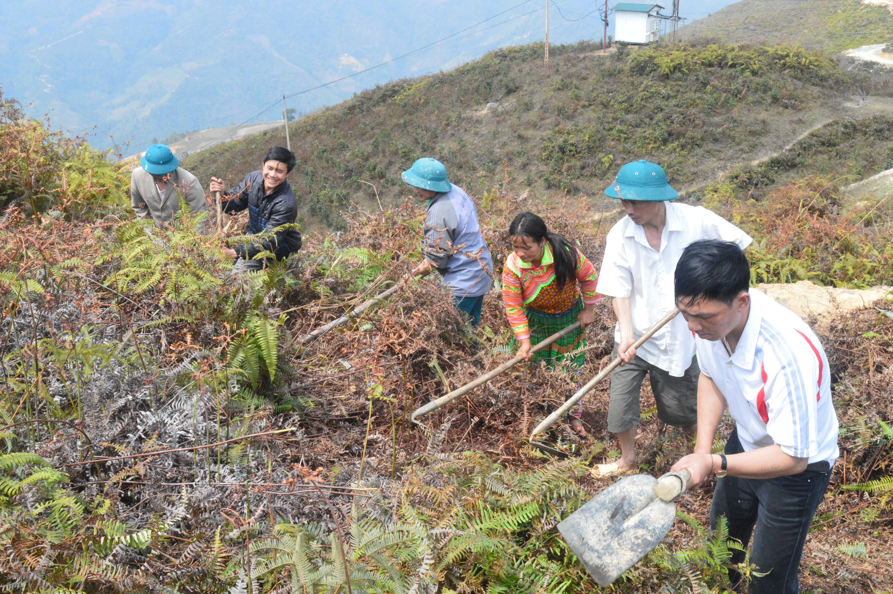 Thực hiện ngay các biện pháp phòng, chống cháy rừng