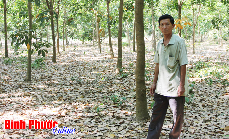 Vụ tranh chấp đất ở xã Tiến Hưng vẫn chưa kết thúc?