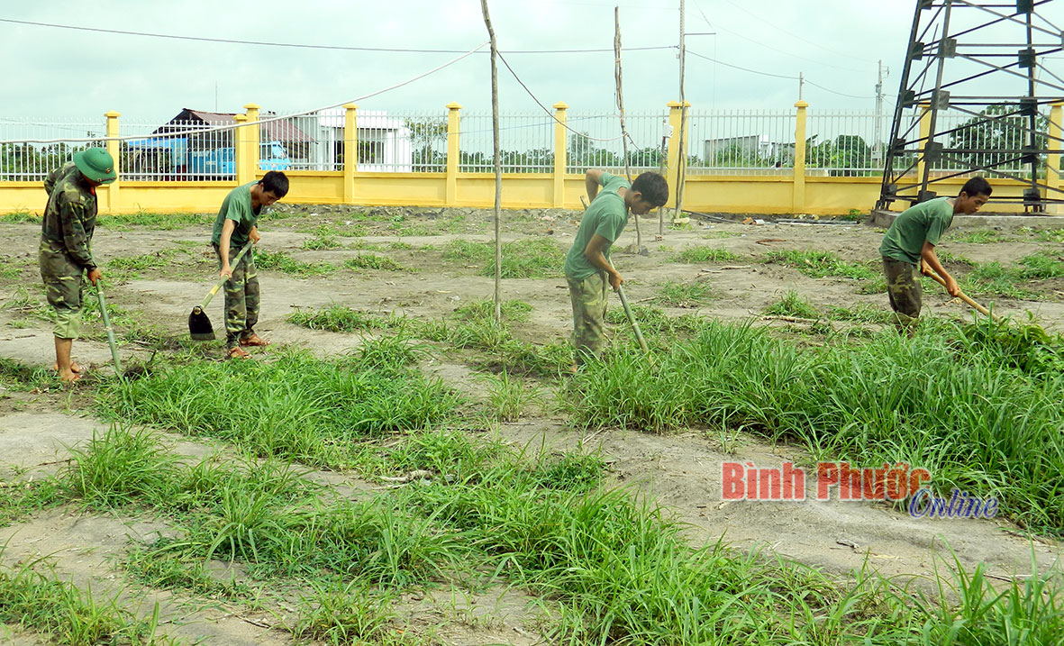 Lực lượng vũ trang huyện Lộc Ninh giúp dân xã Lộc Thành làm kinh tế