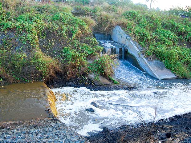 Tháng 7, phát hiện 10 vụ vi phạm về bảo vệ môi trường
