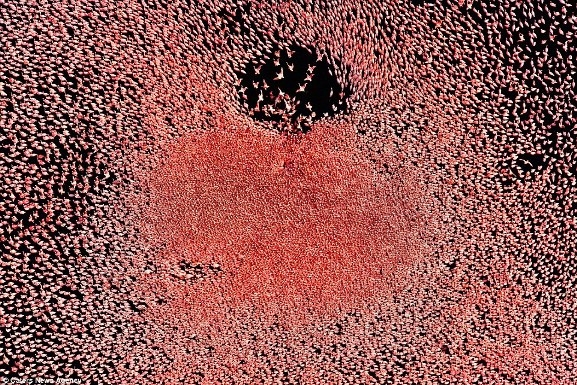 Thiên nhiên kỳ thú đẹp "ngạt thở" khi nhìn từ trên cao