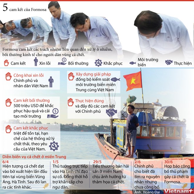 5 cam kết của Formosa trong xử lý vụ cá chết