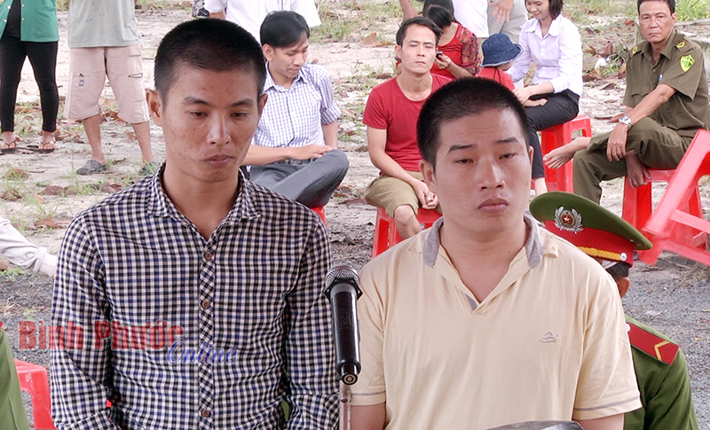 5 năm t&ugrave; giam cho kẻ trộm liều lĩnh