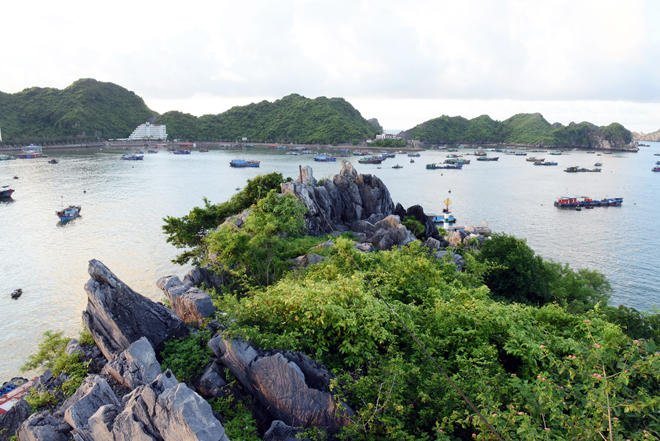 Mê mẩn với cảnh đẹp Cát Bà