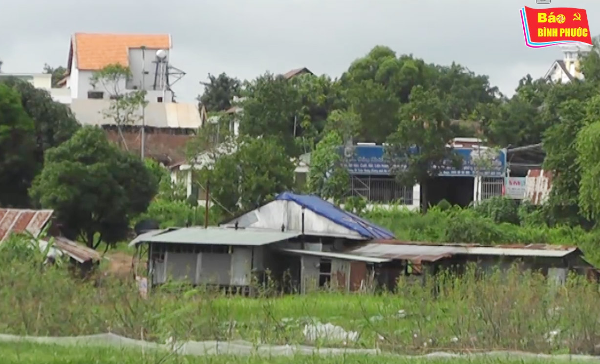 [Video] Khổ vì dự án