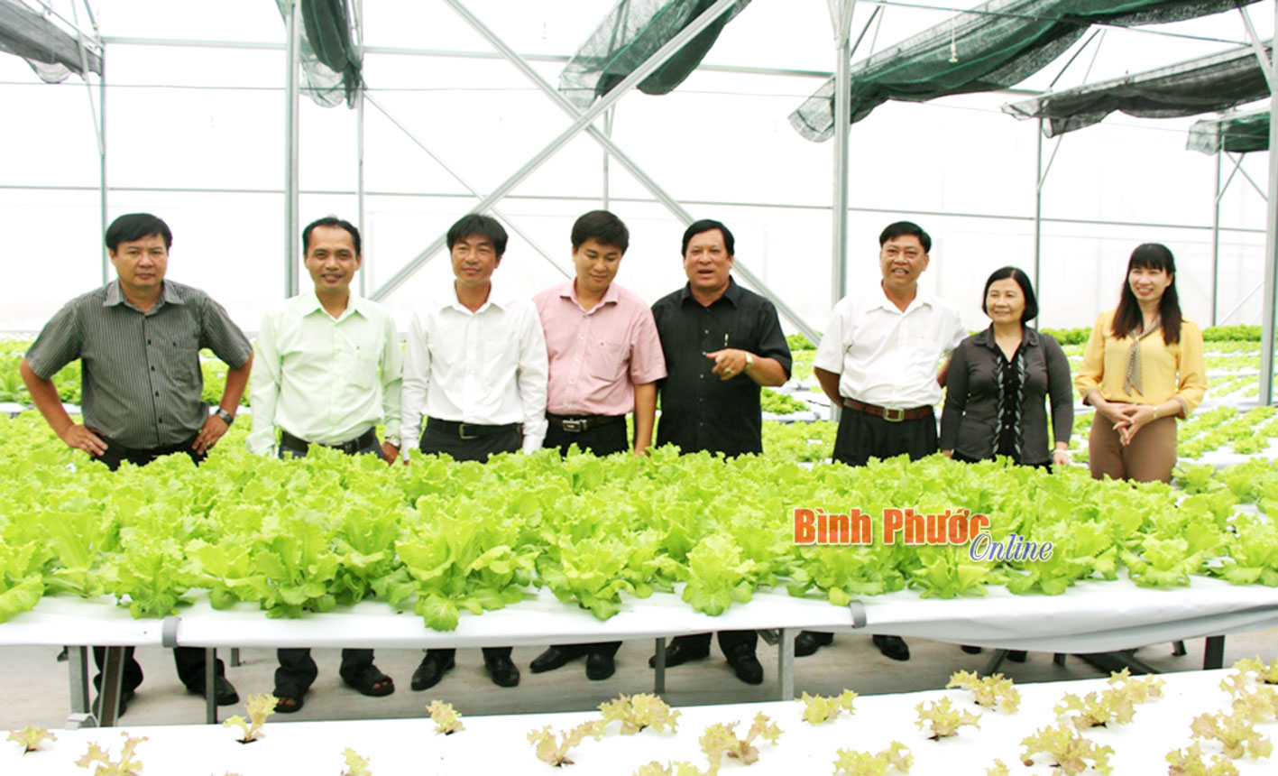 Tập trung phát triển các mô hình sản xuất theo hướng liên kết chuỗi giá trị